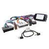 Lenkradinterface Ford Galaxy / VW Sharan / Seat Alhambra  1996 > Alpine